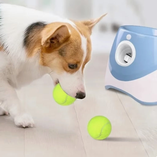 Smart Indoor & Outdoor Dog Fetcher