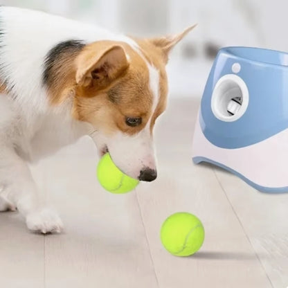 Smart Indoor & Outdoor Dog Fetcher
