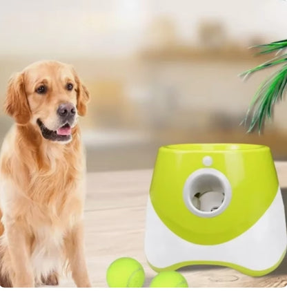 Smart Indoor & Outdoor Dog Fetcher